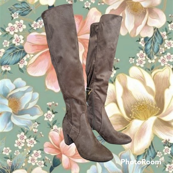 Liz Claiborne Shoes - NWOB Liz Claiborne Taupe Suede Knee High Boots + 10M